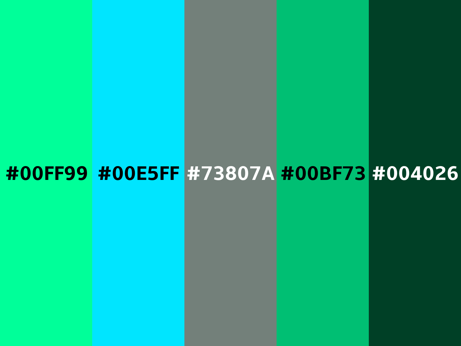 00FF99 Hex Color, RGB: 0, 255, 153