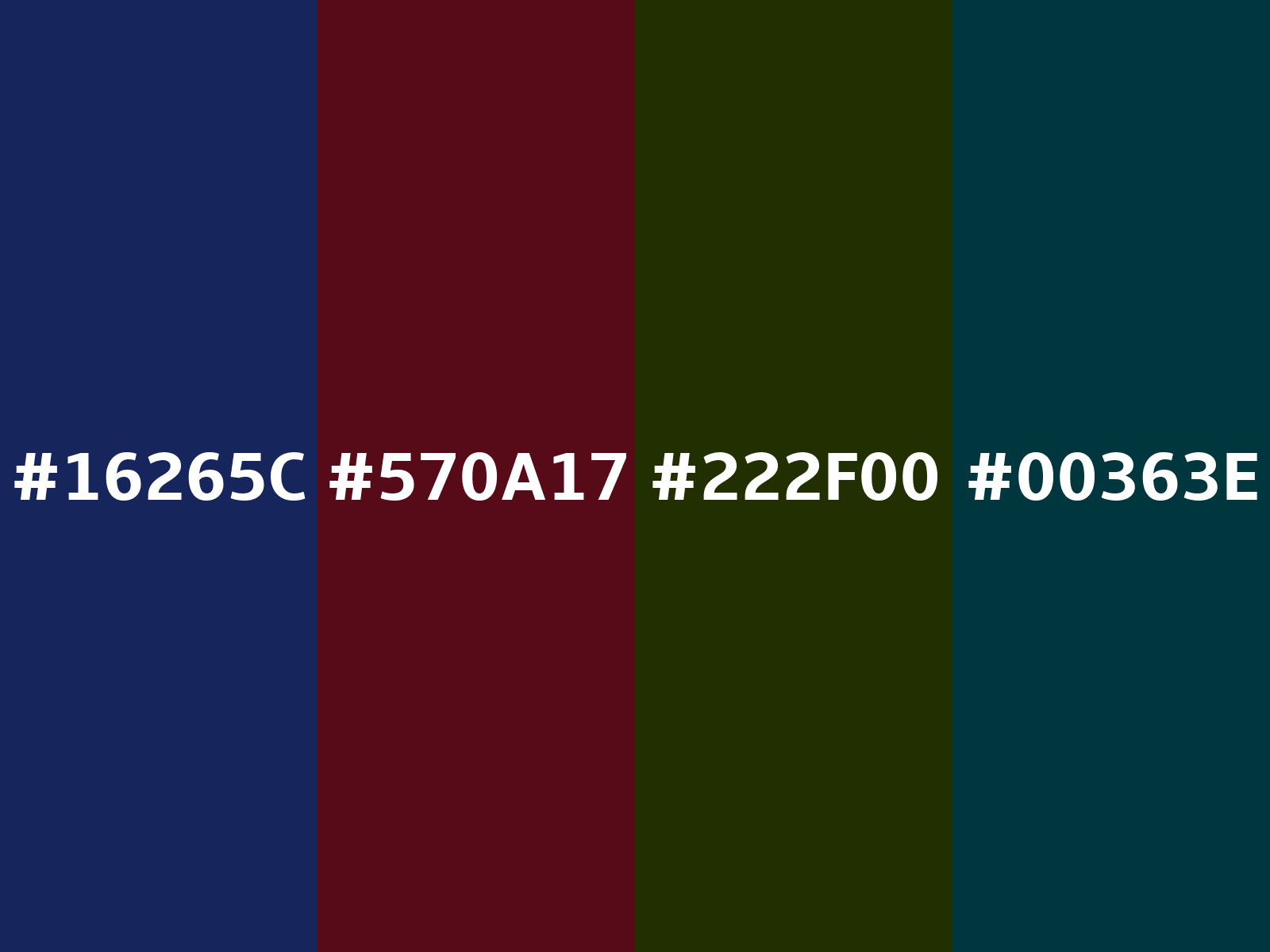 Converting Colors - Hex - 16265C