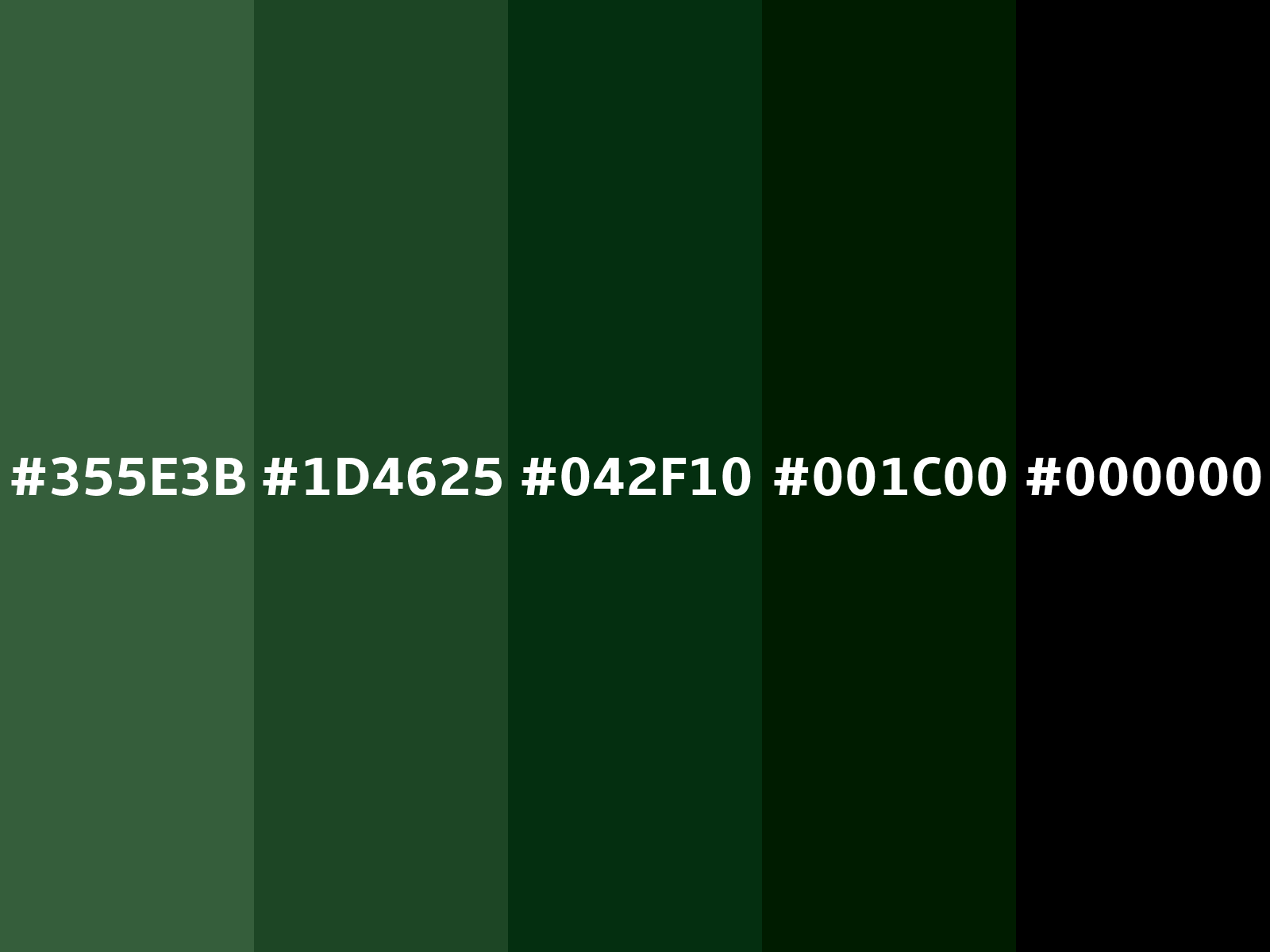 Deep moss green color (Android 4281687611)