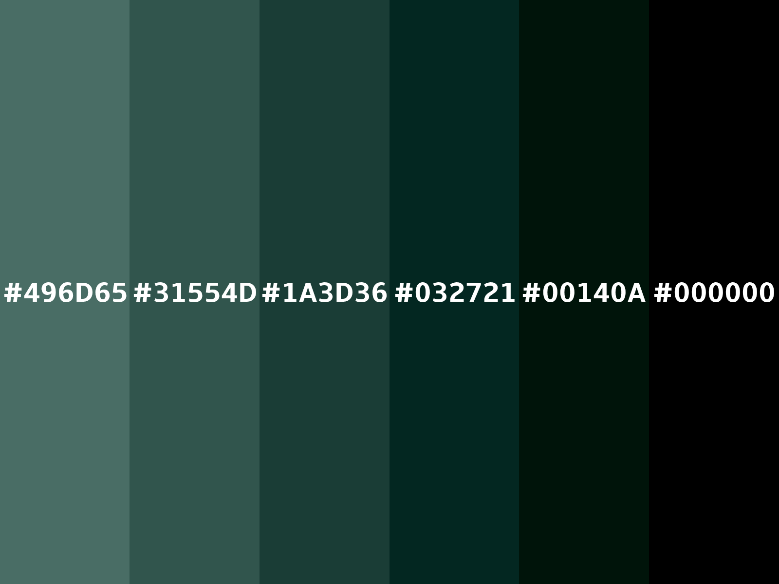 490101 Hex Color, RGB: 73, 1, 1