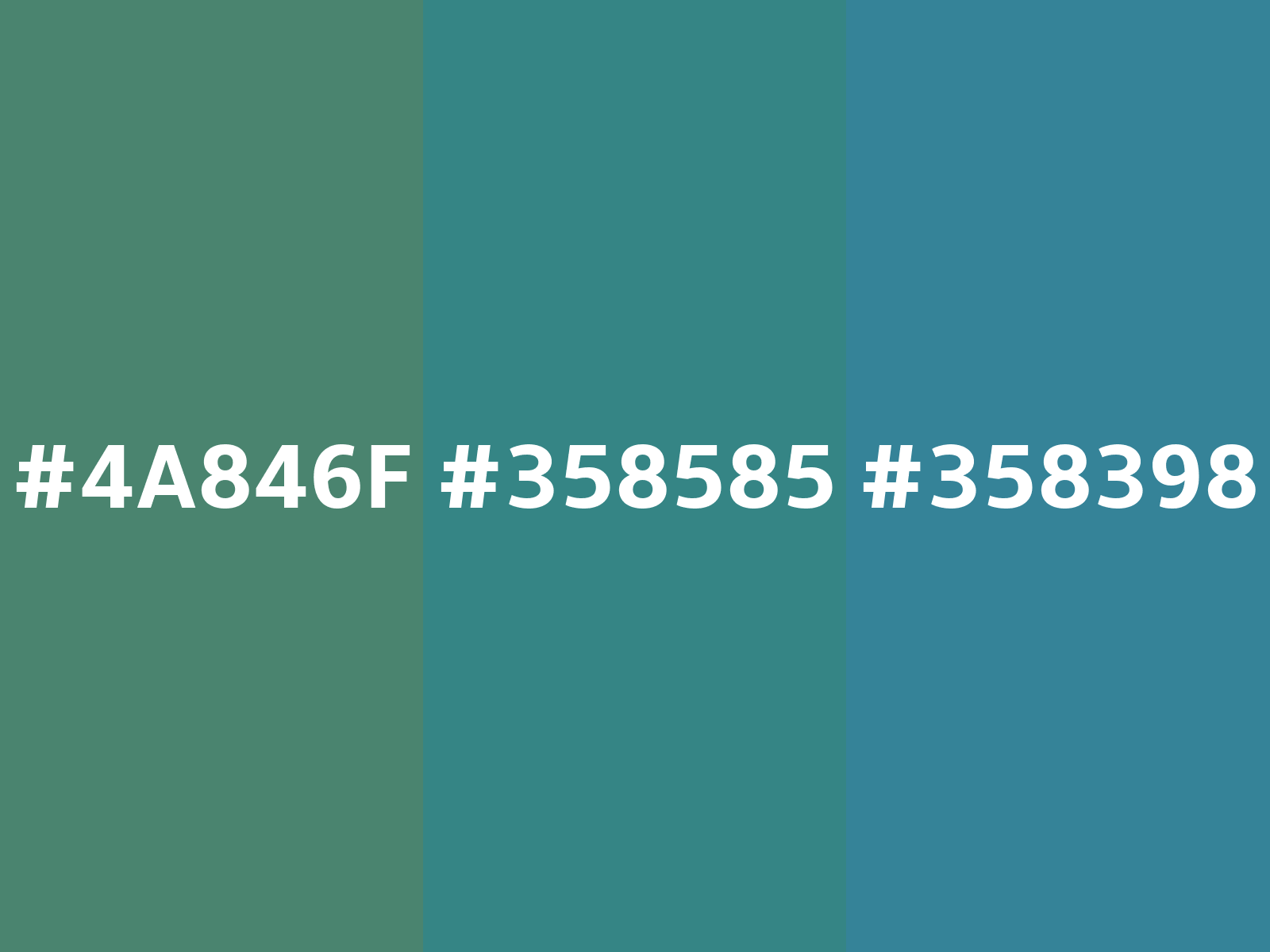 RGB 53, 133, 133 color