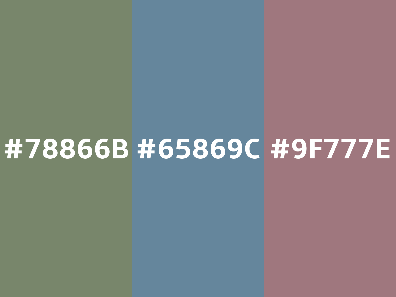 Camouflage green / #78866b hex color