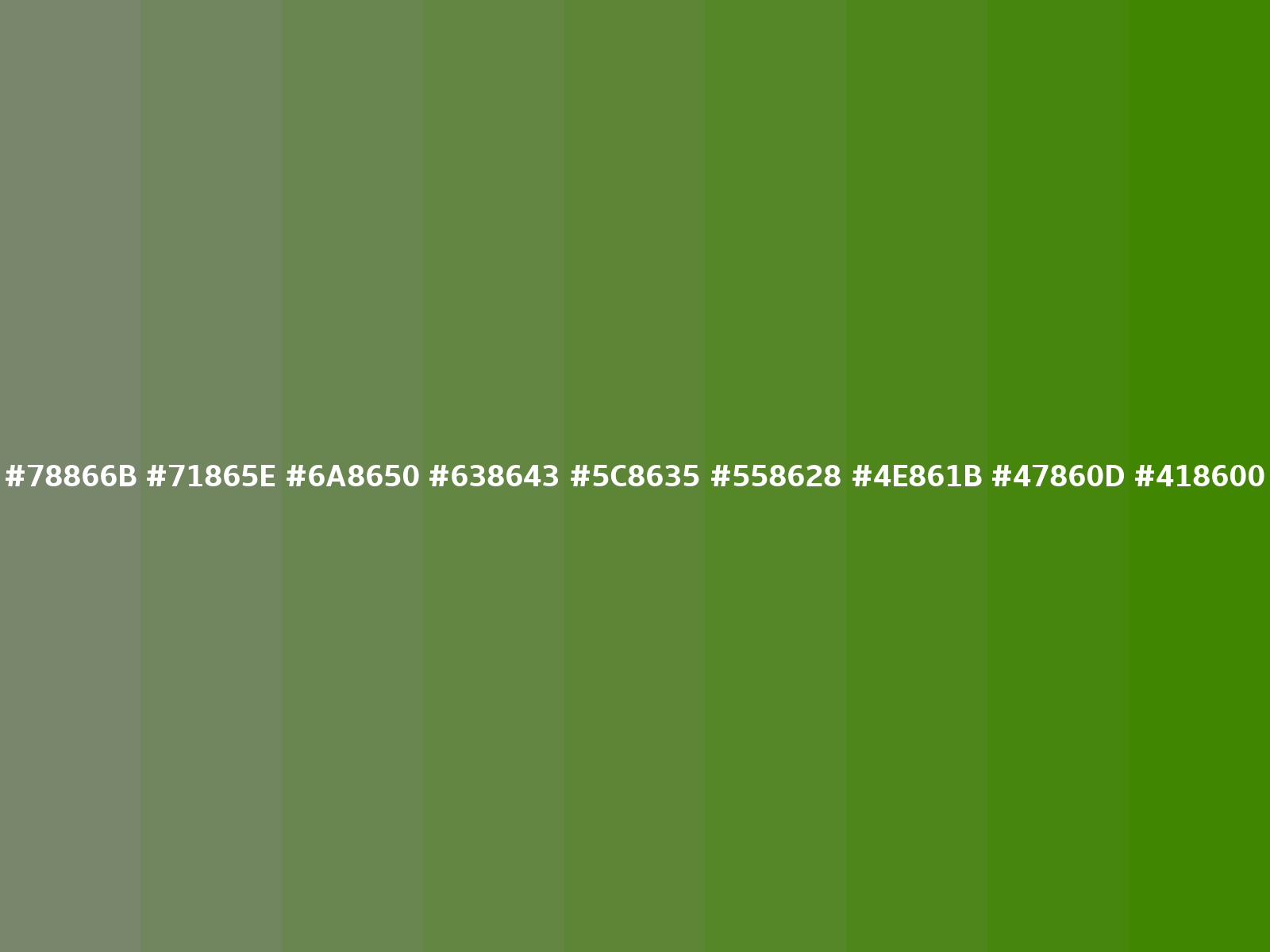 Camouflage green / #78866b hex color