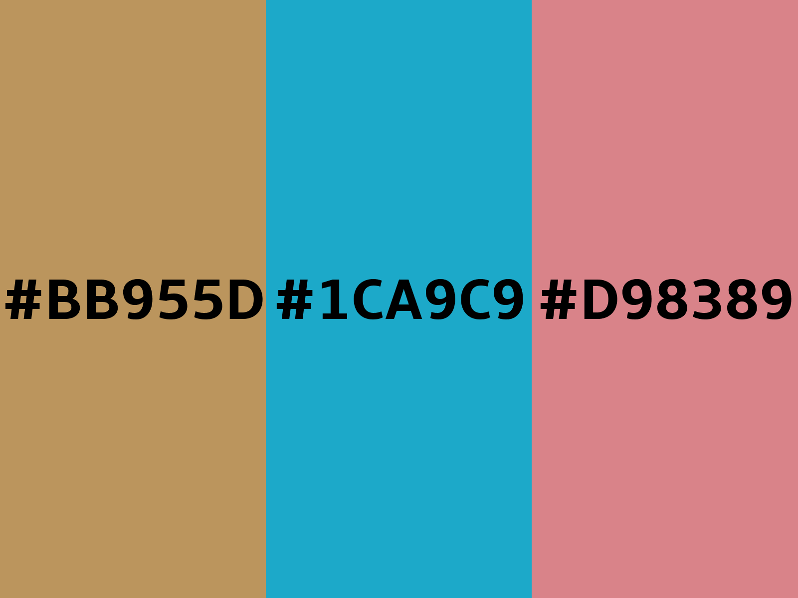 All About the Color Pacific Blue (Hex Code #1CA9C9) – CreativeBooster