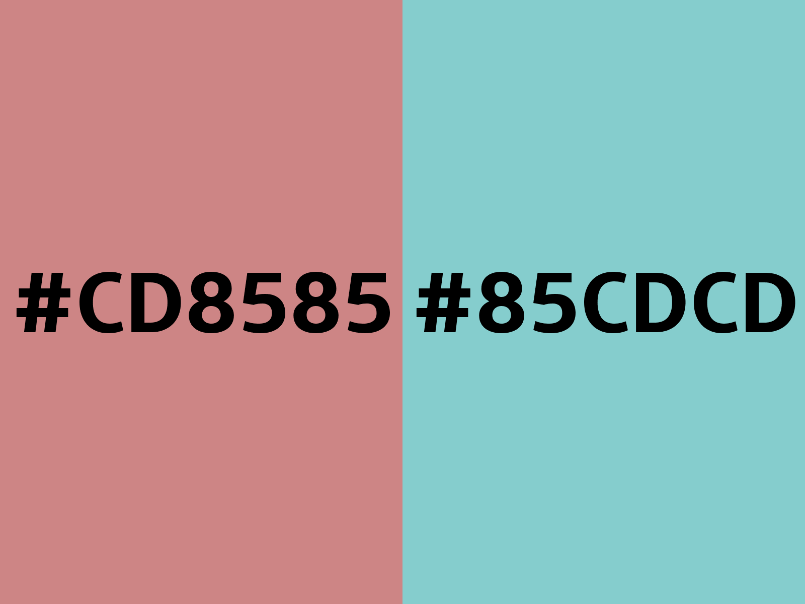 cd8585