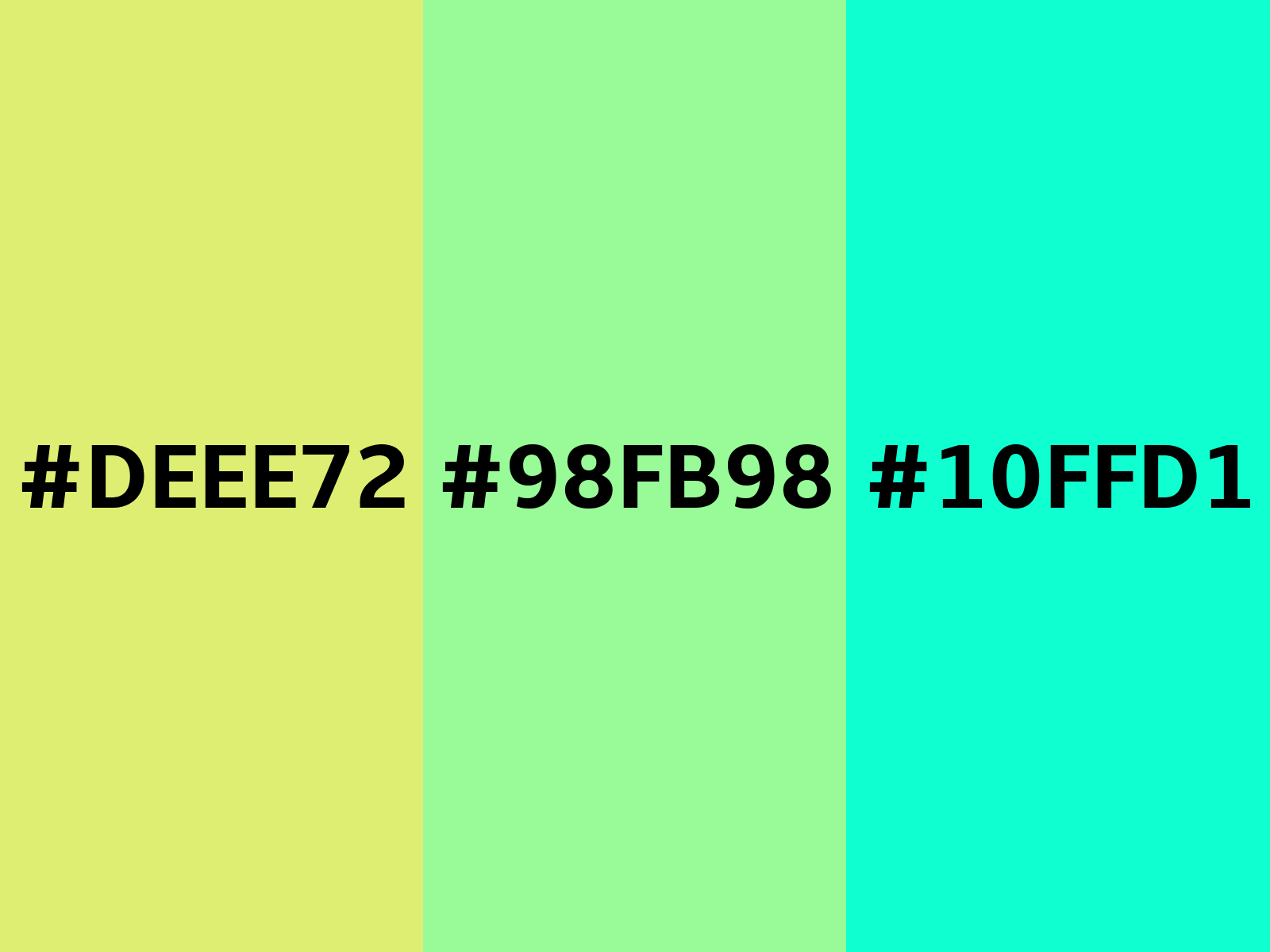 HEX color #264C39, Color name: Bottle Green, RGB(38,76,57), Windows:  3755046. - HTML CSS Color